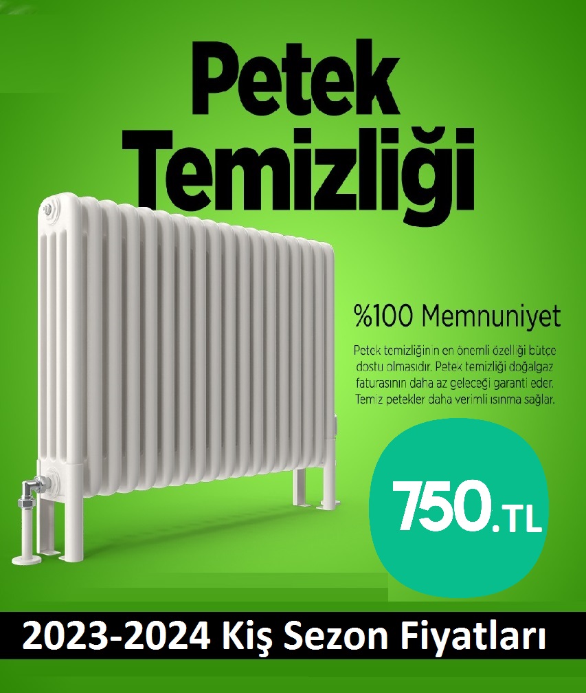 Alemdağ Petek Temizliği Tek Fiyat Teklifi Al